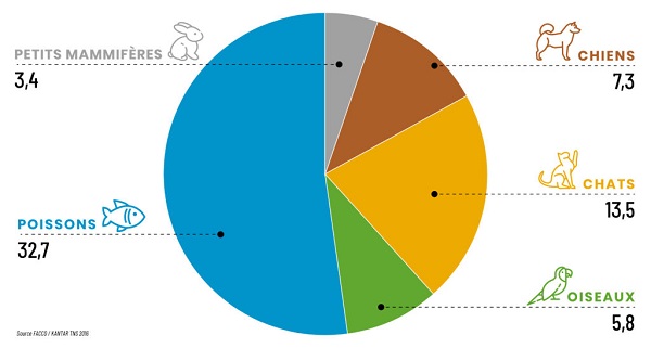 animaux de compagnie en France 2016